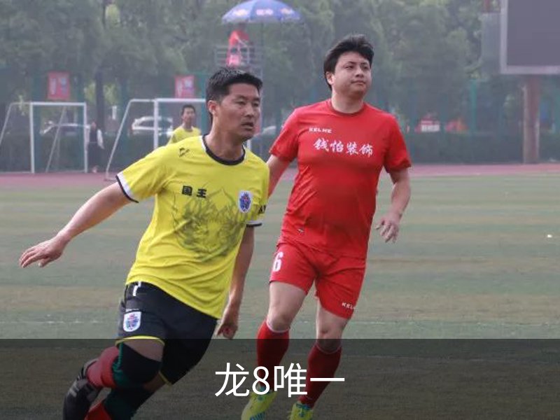 龙8唯一简介